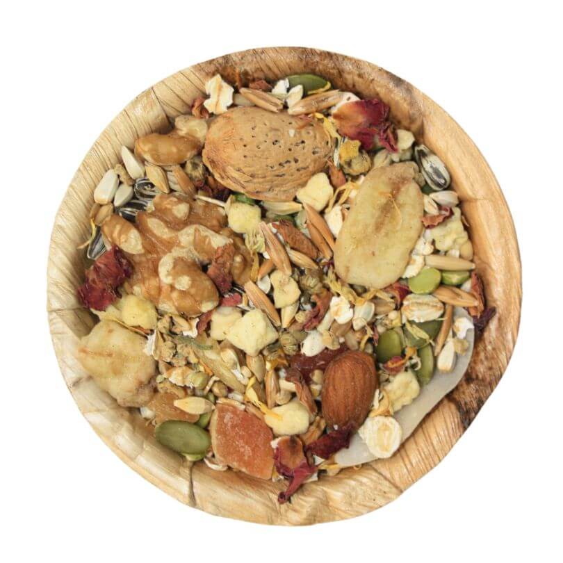 South American Large Parrot Seed Blend