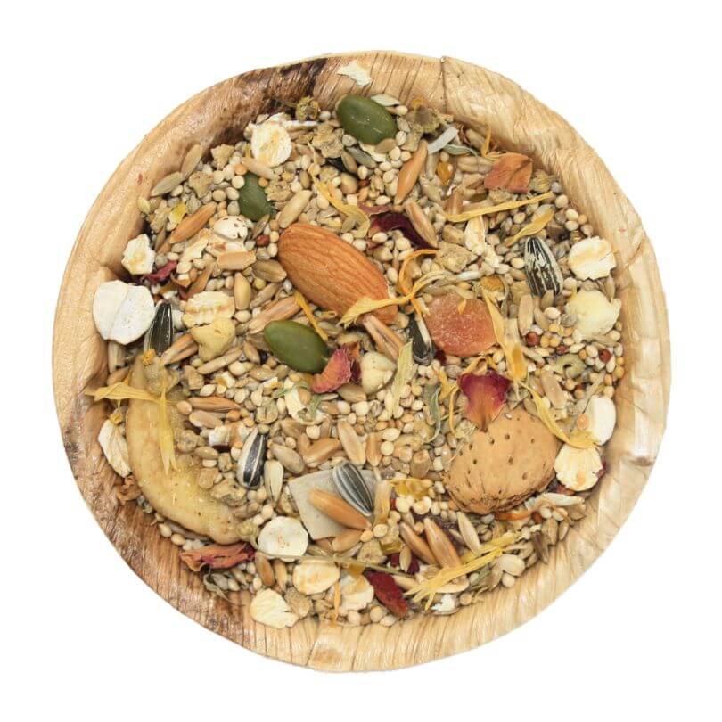 South American Small Parrot Seed Blend