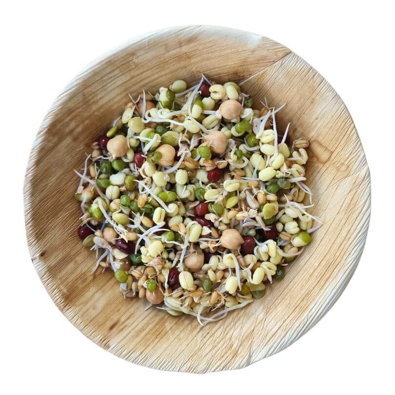 Sprouting Blend