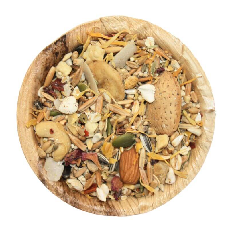 Aussie Large Parrot Seed Blend