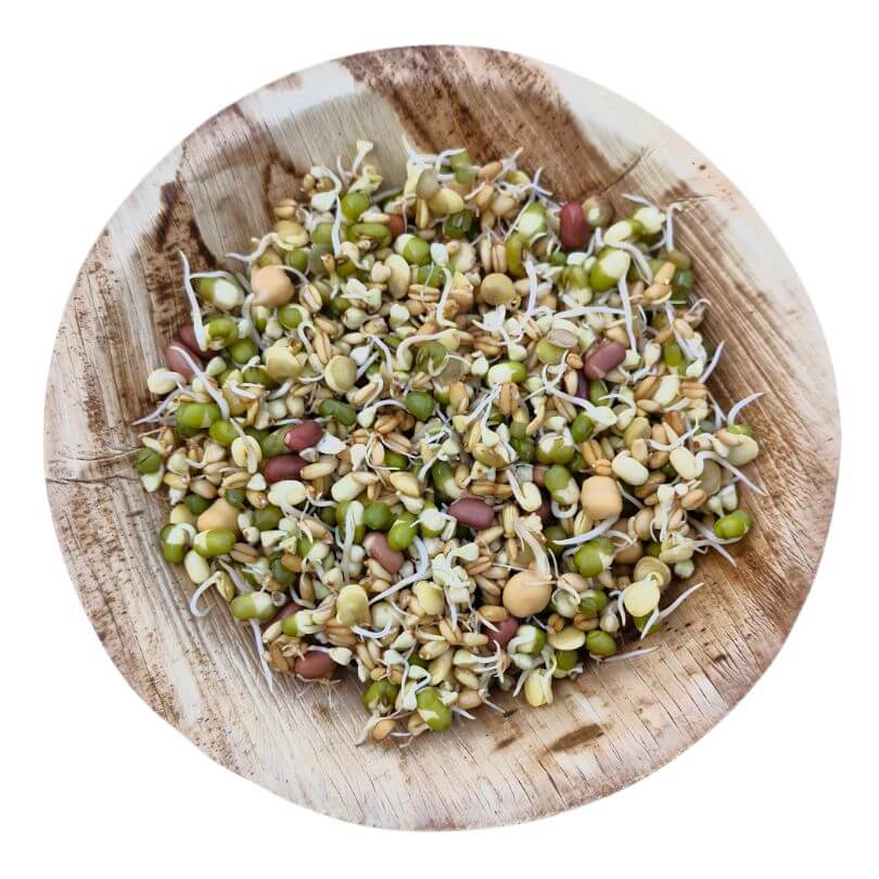 Sunflower Free Sprouting Blend 500g