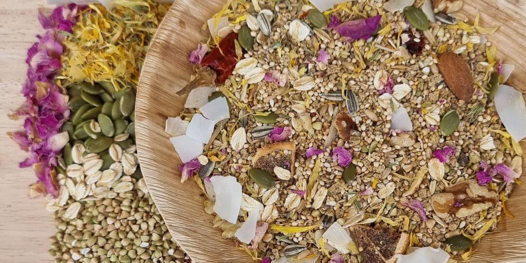 Low Sunflower Blends: The Perfect Solution for a Healthier Diet for Your Bird - Raw for Birds