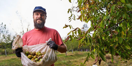 Supporting Aussie Farmers: Why We Stand Behind Transitional Organic Produce - Raw for Birds