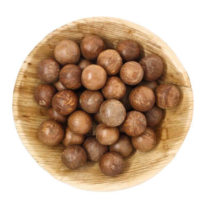 Macadamia Nuts in Shell 1kg