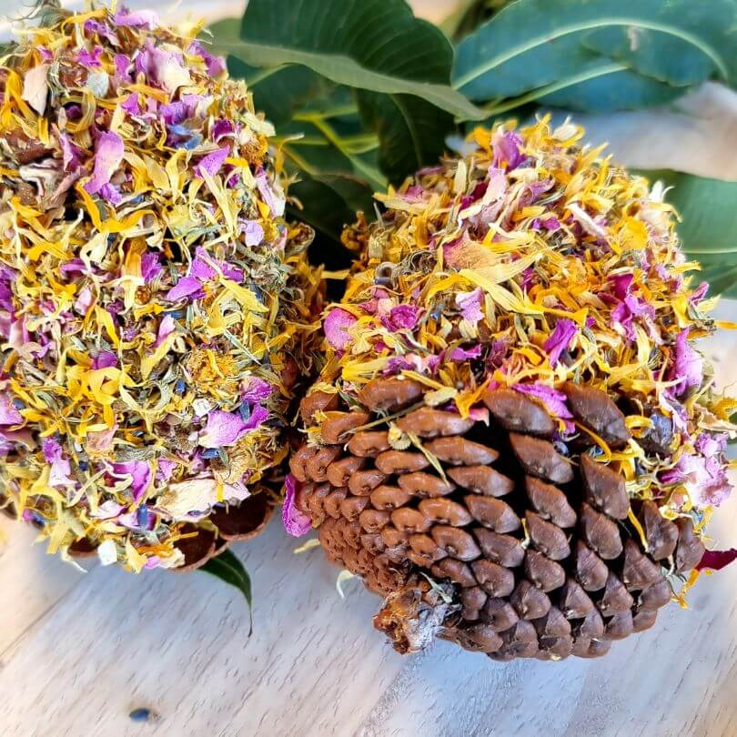 Floral Pinecone Chews 2pk - Raw for Birds