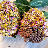 Thumbnail for Floral Pinecone Chews 2pk - Raw for Birds