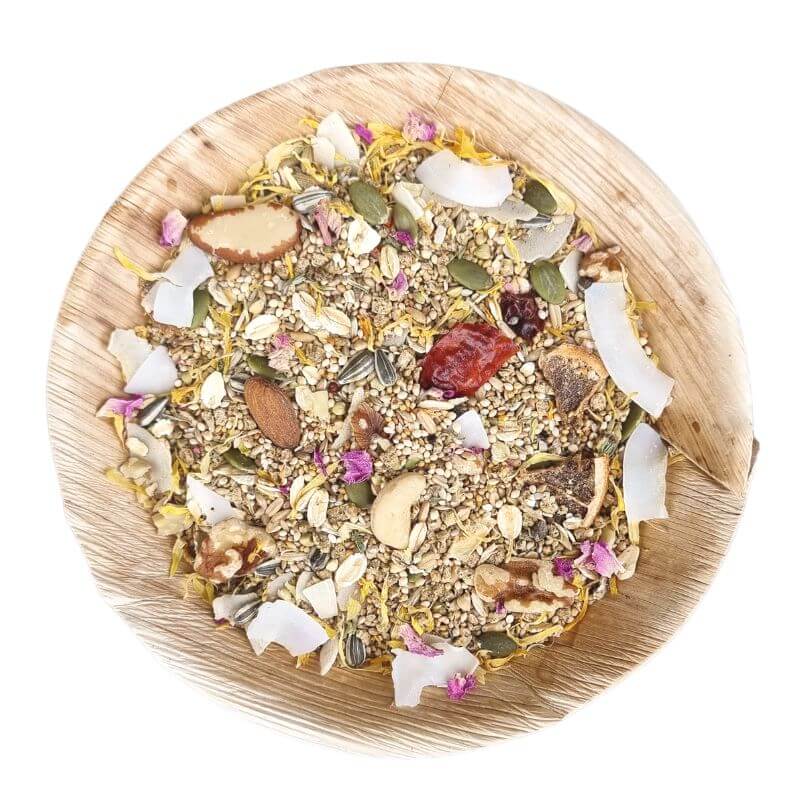 Medium Parrot Seed Blend - Raw for Birds