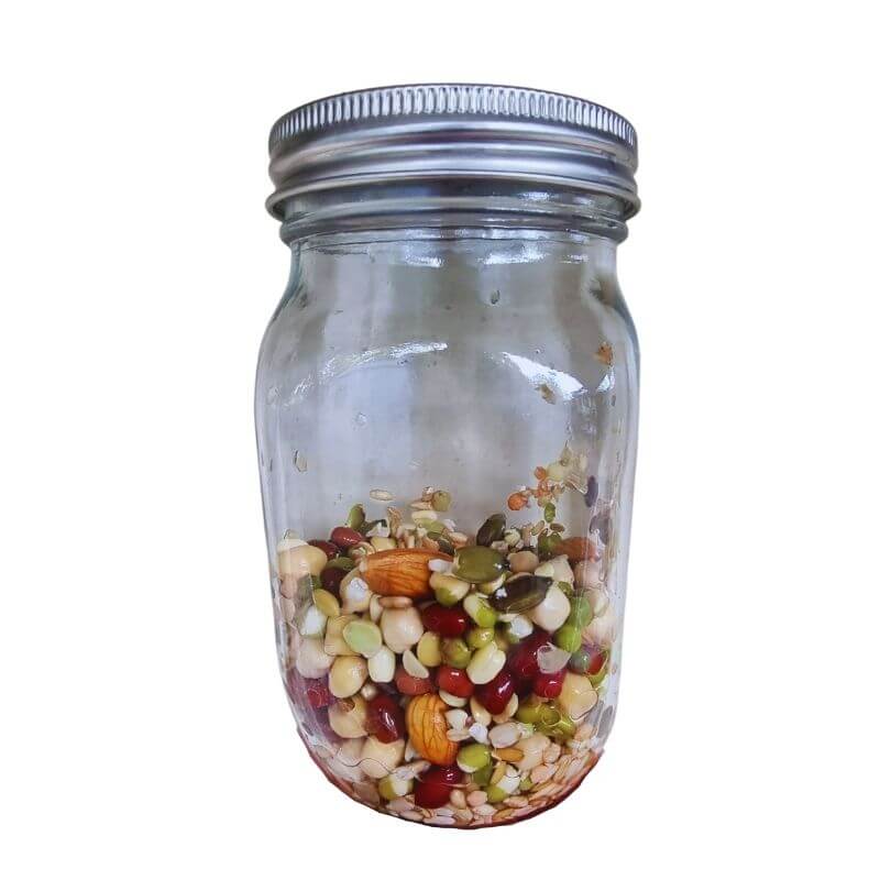 Sprouting and Soaking Jar - Raw for Birds